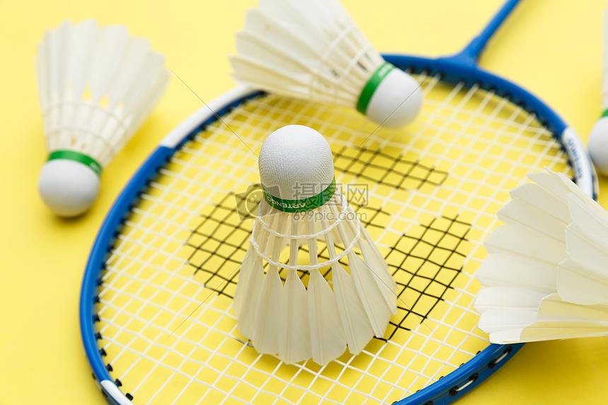 从保护队员 从保护队员