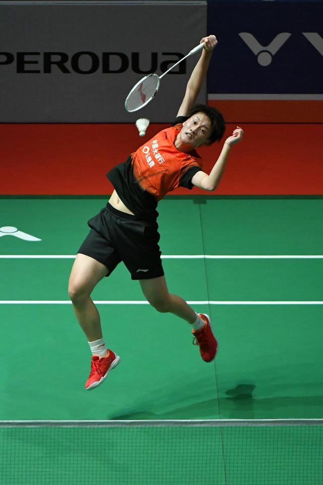 波特和约基 波特和约基